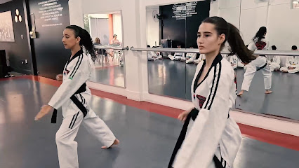 Taekwondo Belmiro Giordani - BGTKD