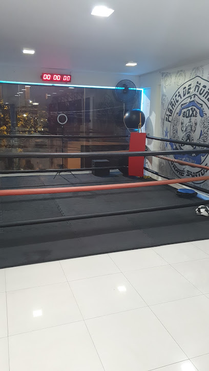 Academia de Boxe Fábrica de Monstros