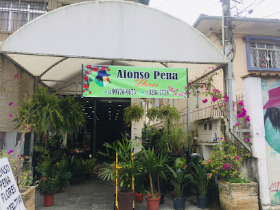 Afonso Pena Flores