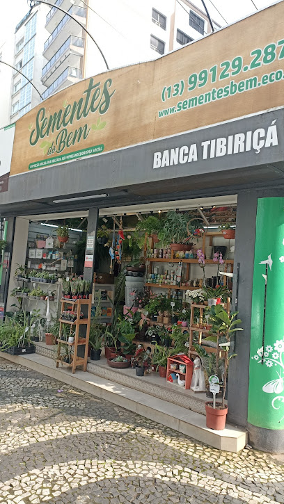 Banca Tibiriça Sementes do Bem