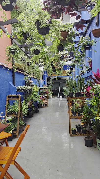 Casa Azul Jardinagem