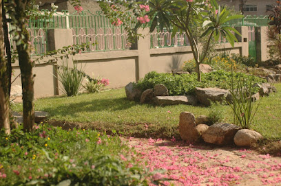 Humberto Koshikene Paisagismo e Manutenção de jardins