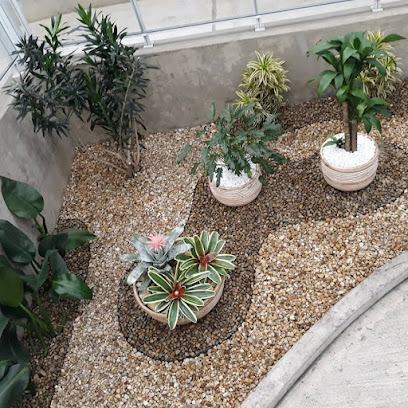 Lima Jardineiro