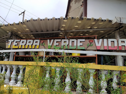 Terra Verde Vida Paisagismo